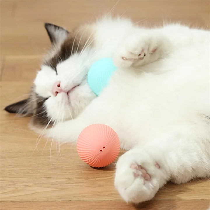 Small Smart Pet Ball - BuyMoreMall