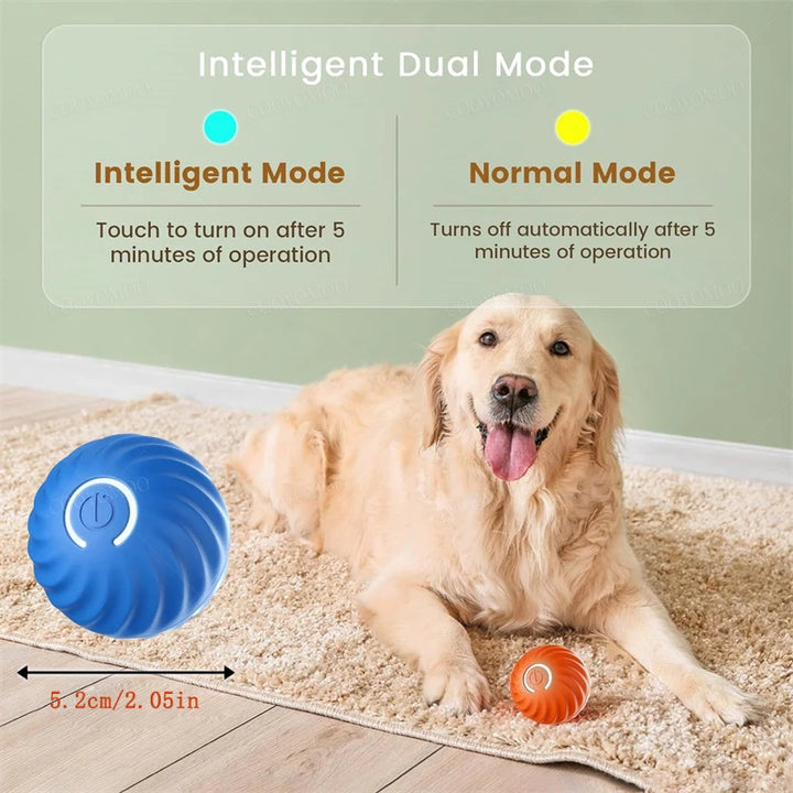 Small Smart Pet Ball - BuyMoreMall