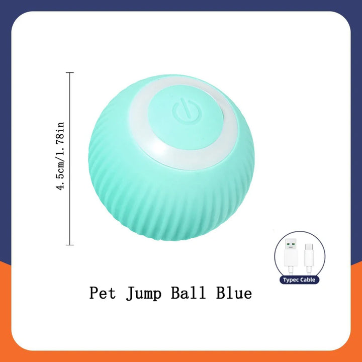 Small Smart Pet Ball