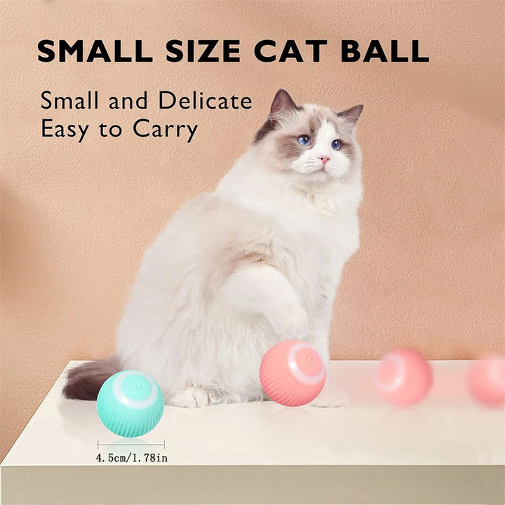 Small Smart Pet Ball - BuyMoreMall