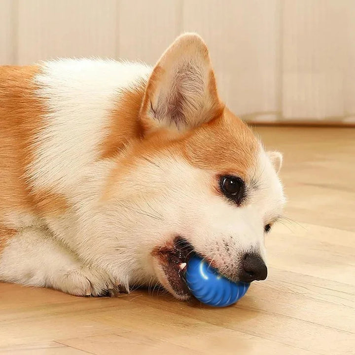 Small Smart Pet Ball - BuyMoreMall