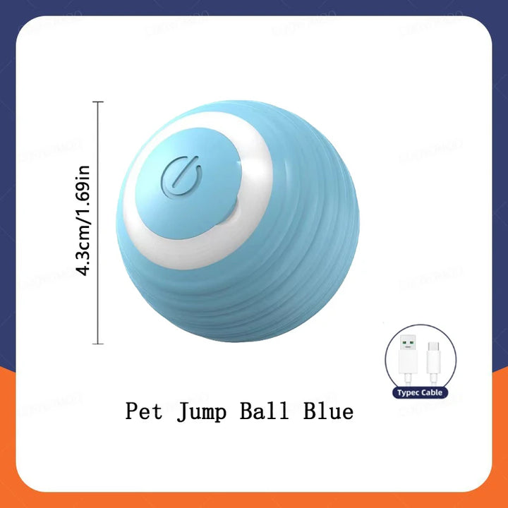 Small Smart Pet Ball