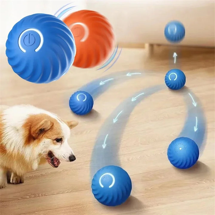 Small Smart Pet Ball - BuyMoreMall