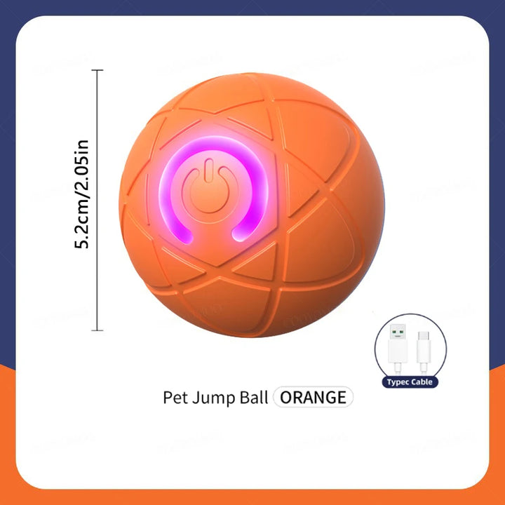 Small Smart Pet Ball