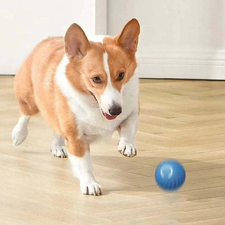 Small Smart Pet Ball - BuyMoreMall