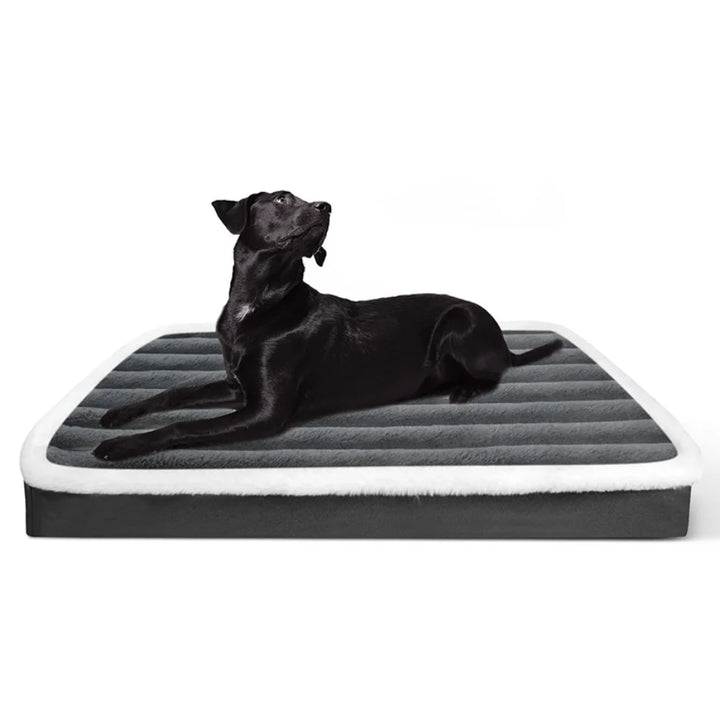 Comfort Pet Bed - BuyMoreMall