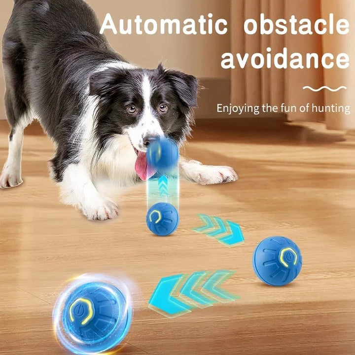 Small Smart Pet Ball - BuyMoreMall