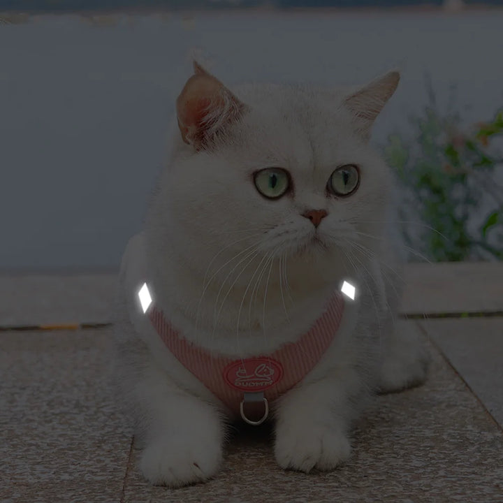 Fluffy Cat Harness - BuyMoreMall