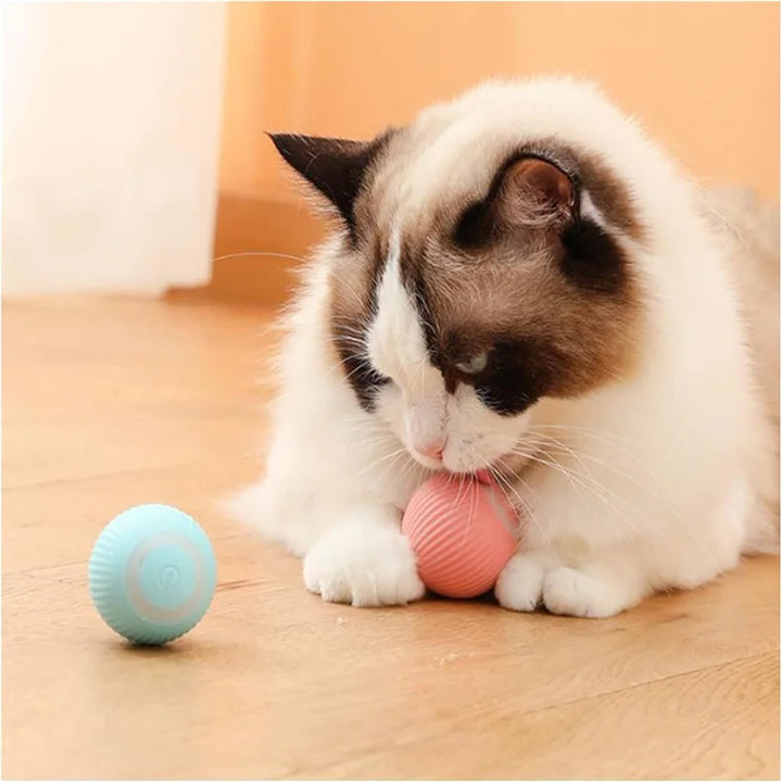 Small Smart Pet Ball - BuyMoreMall