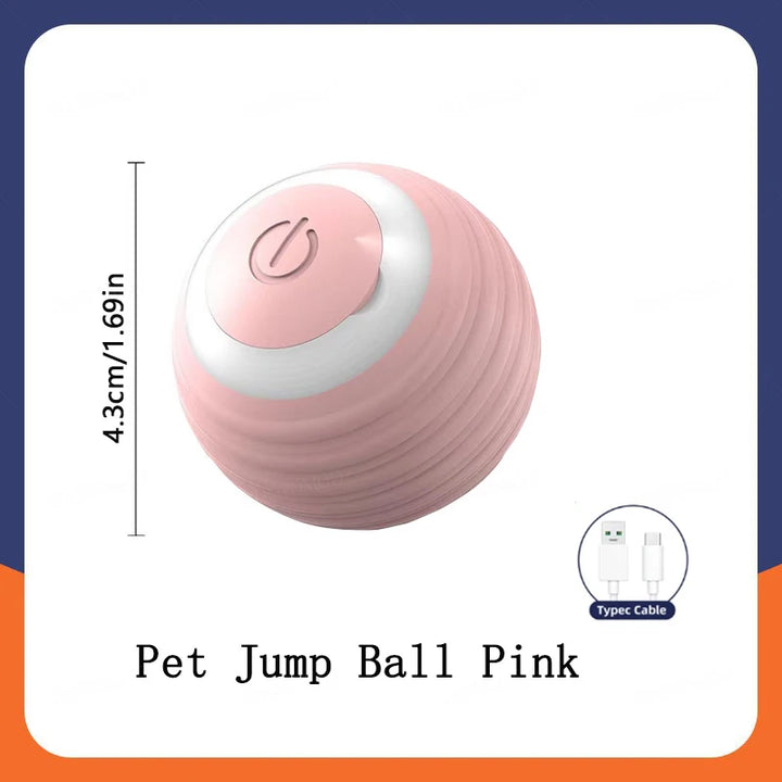 Small Smart Pet Ball