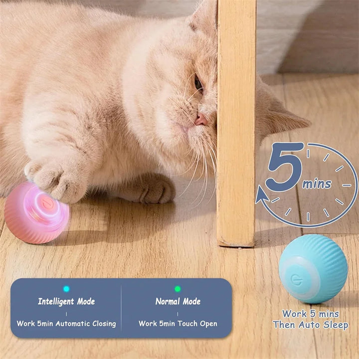 Small Smart Pet Ball - BuyMoreMall