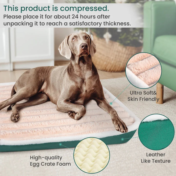 Comfort Pet Bed - BuyMoreMall