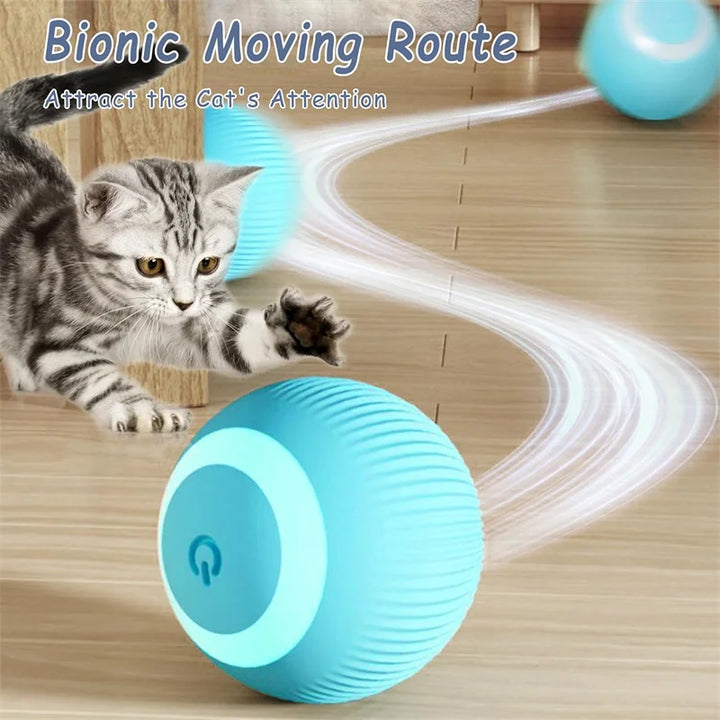 Small Smart Pet Ball - BuyMoreMall