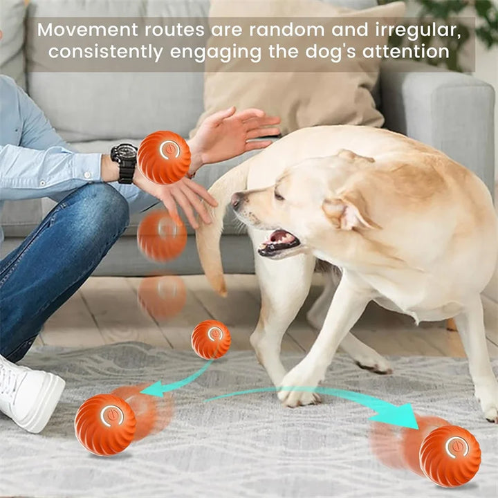 Small Smart Pet Ball - BuyMoreMall